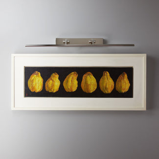 Larger Blake picture light in brushed chrome finish with dimmer switch
