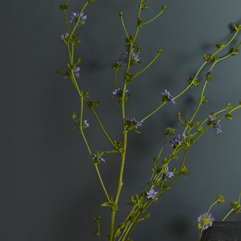 Statement table Lamps