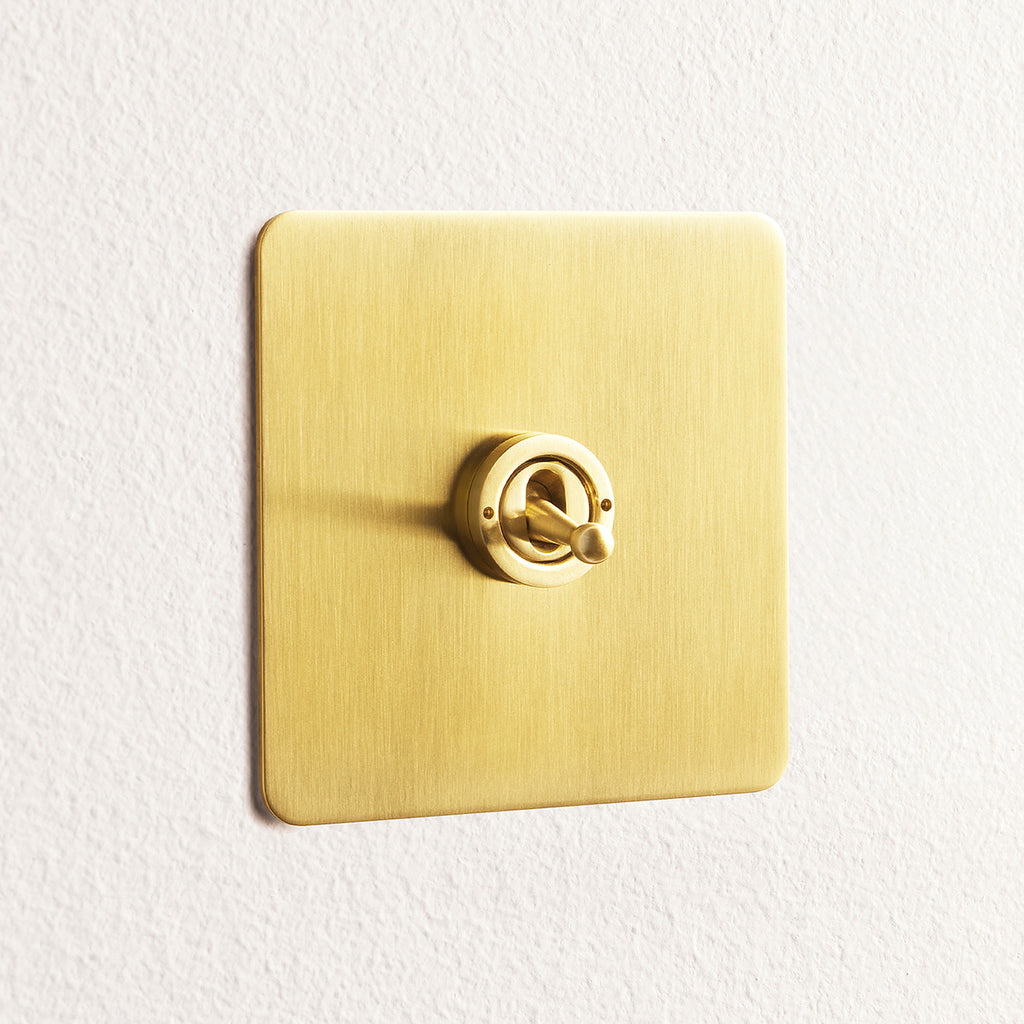 Lucian one gang 2 way toggle switch in top brass