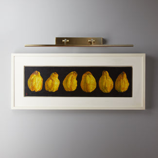 Larger Blake picture light in antique brass finish with dimmer switch